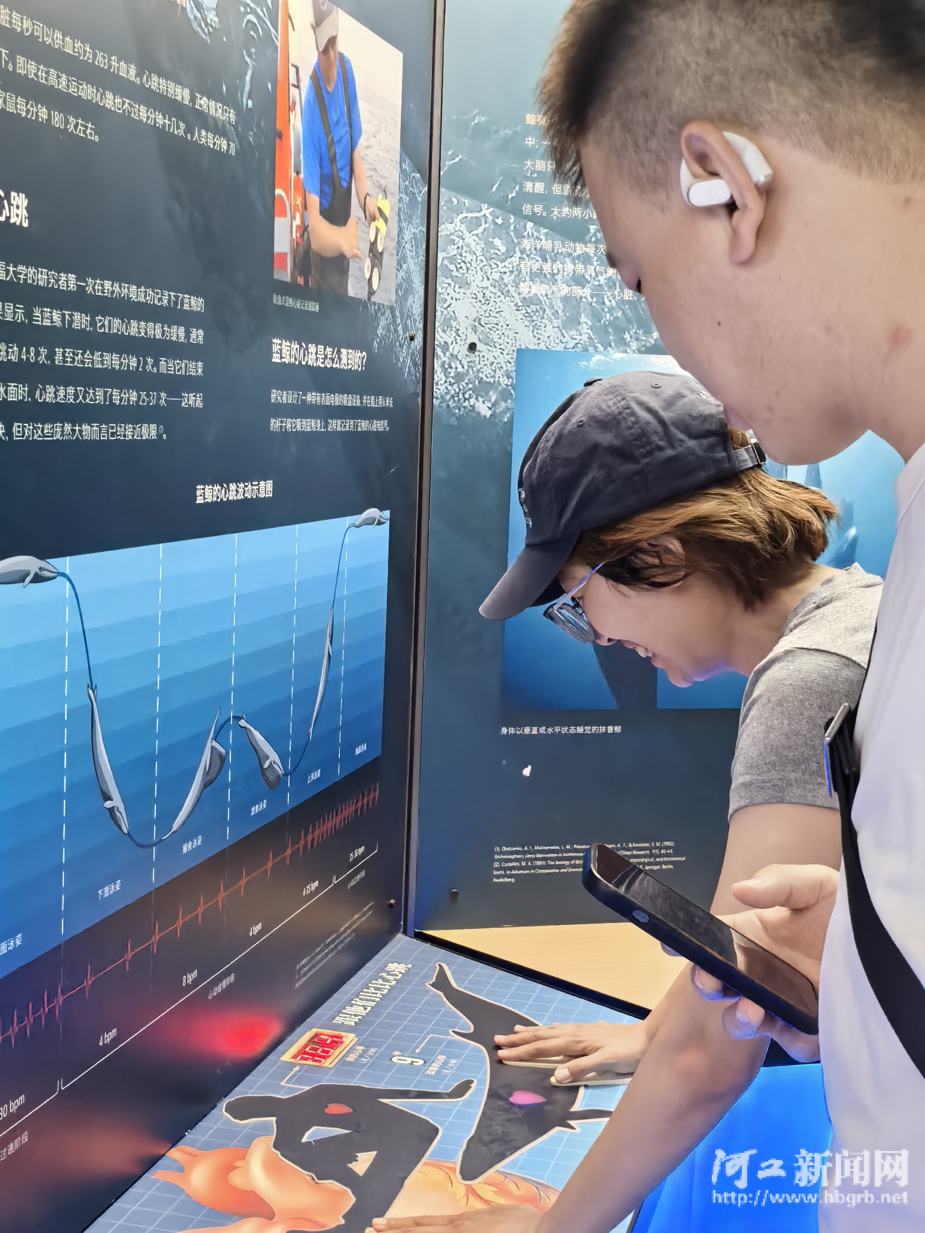 “鲸奇世界”展览亮相河北博物院(图3)