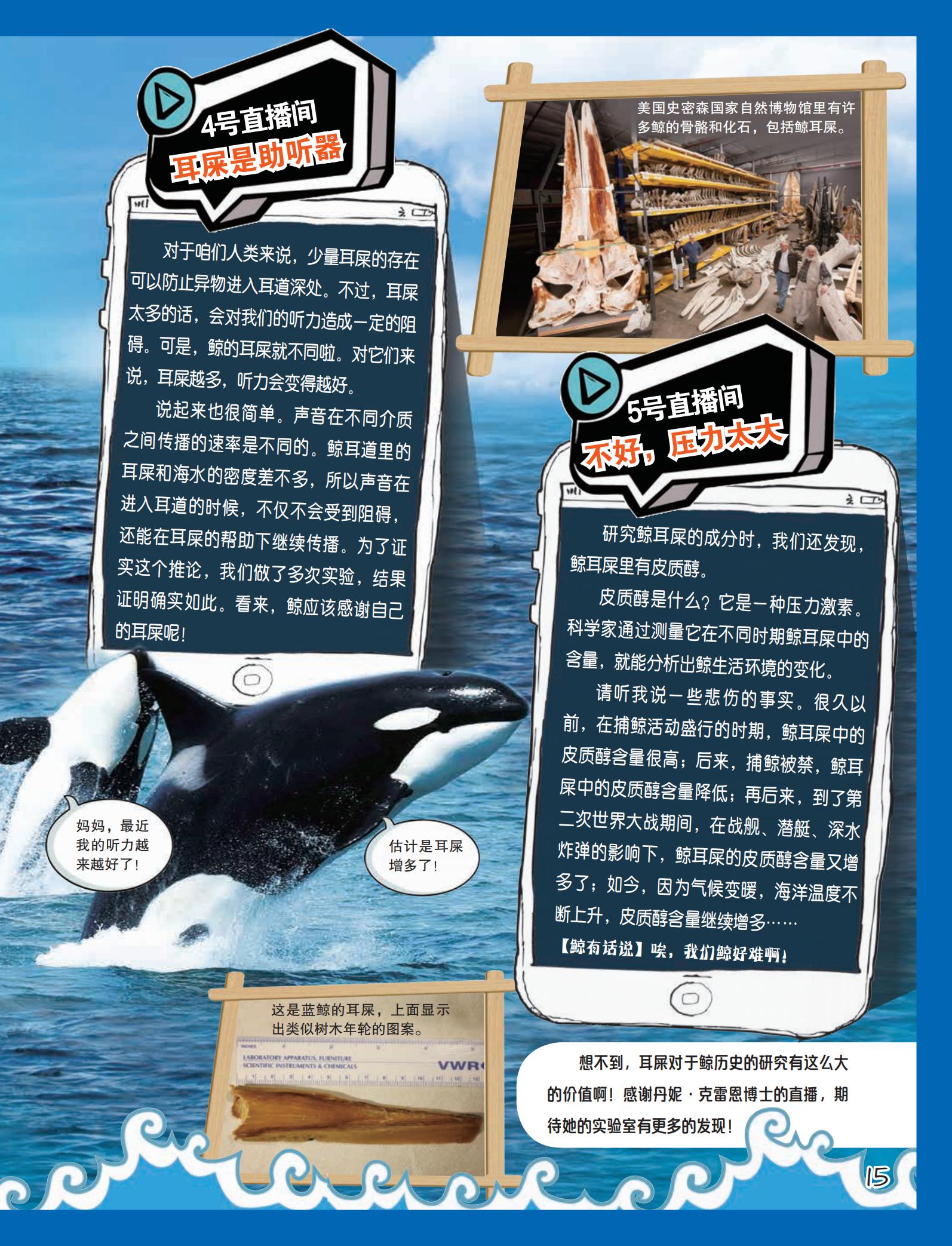 耳垢的基础解释是什么