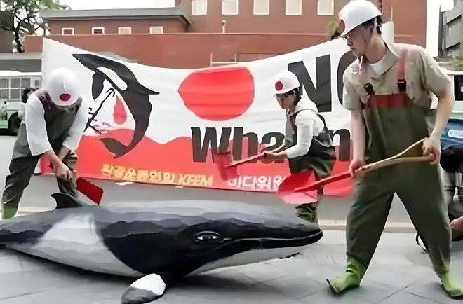 捕鲸是既不赚钱还要挨骂的职业为啥还有日本等国家坚持捕鲸呢(图7)