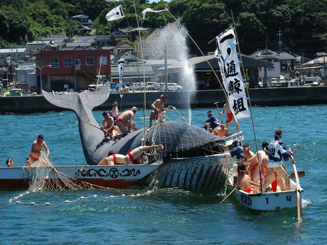 捕鲸是既不赚钱还要挨骂的职业为啥还有日本等国家坚持捕鲸呢