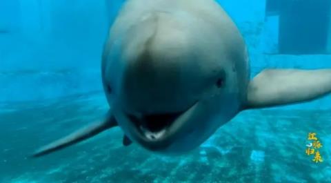 重磅发布 最科技T50——中国先锋科技投资机构50强