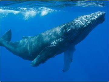 新晋985博导：科研初期也许很“菜”但不要紧