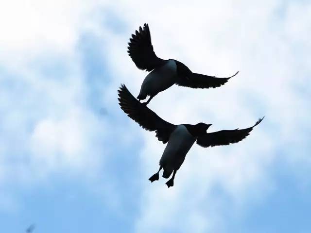 北极公益科考之旅 助力申请国外大学加分(图7)