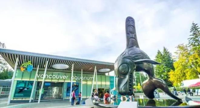 白鲸生死局:加拿大海洋公园的道德困境与黑心商业(图9)