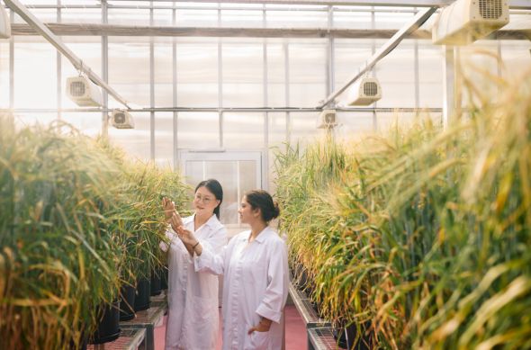 从澳大利亚走向世界:阿德莱德大学蓄势领航(图4)