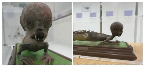 这些诡异瘆人的博物馆藏品看完起了一身鸡皮疙瘩……(图2)