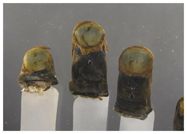 这些诡异瘆人的博物馆藏品看完起了一身鸡皮疙瘩……(图5)