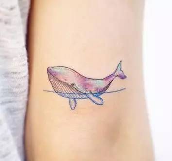 频道精选_智能设备_运动_汽车_智慧出行频道_天极网