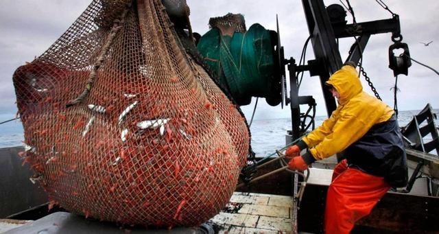 蓝鲸一次性排便2吨!被称为大自然的馈赠它的粪便究竟有啥作用(图13)