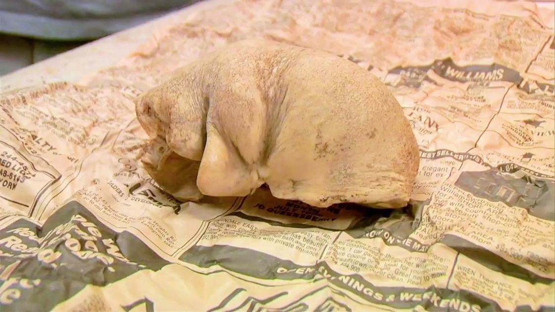 《恶搞之家第十四季》欧美动漫第13集