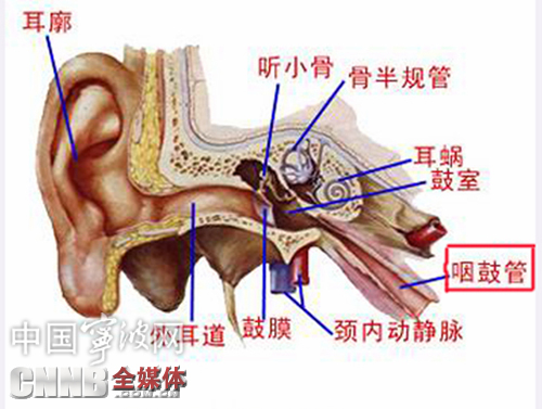 耳垢是什么-有来医生