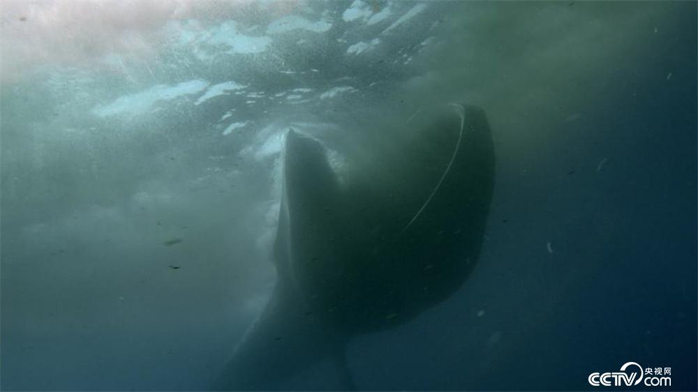 2026 开年王炸！天津文旅一卡通突然放大招