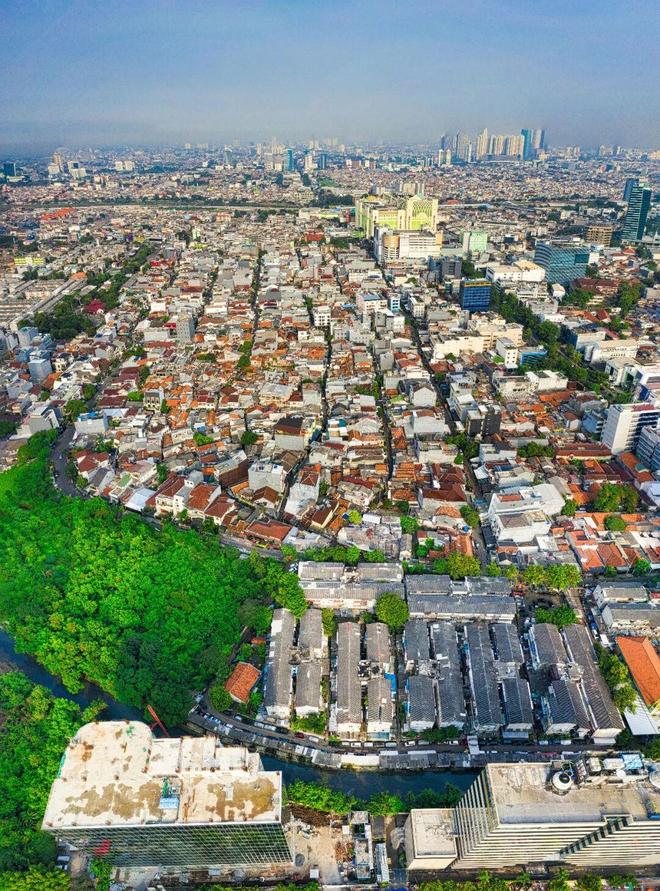 全球化时代找到下一只独角鲸的最好投资路径是什么?(图4)