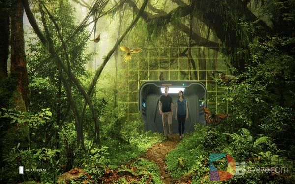 新西兰55头领航鲸搁浅：6头死亡志愿者争分夺秒助15头重返海洋