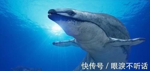 北京【华贸中心】招商租赁部电线官方最新发布