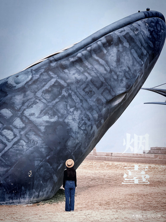 2026年昆士兰拼假攻略 拼出你的自在度假感