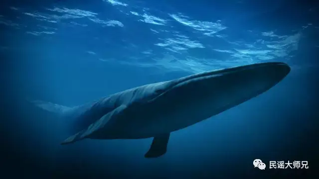 人工智能_人工智能技术_应用_AI_最新进展 雷锋网