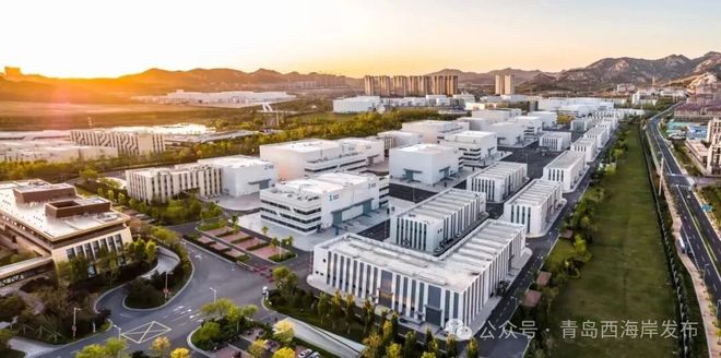 西海岸太燃了!5 年迎 700 个剧组打卡 影视产业持续火爆(图2)