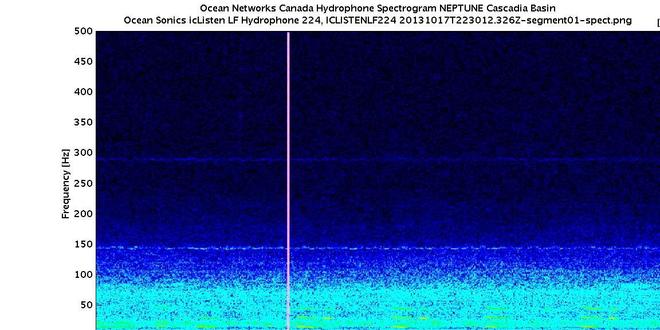 蓝鲸的声音变得日益低沉科学家研究50年至今未弄明白真相!(图9)