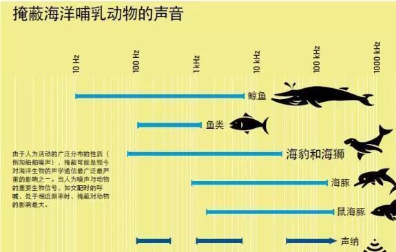 蓝鲸的声音变得日益低沉科学家研究50年至今未弄明白真相!(图13)
