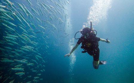 英语教育专业报考人数不少