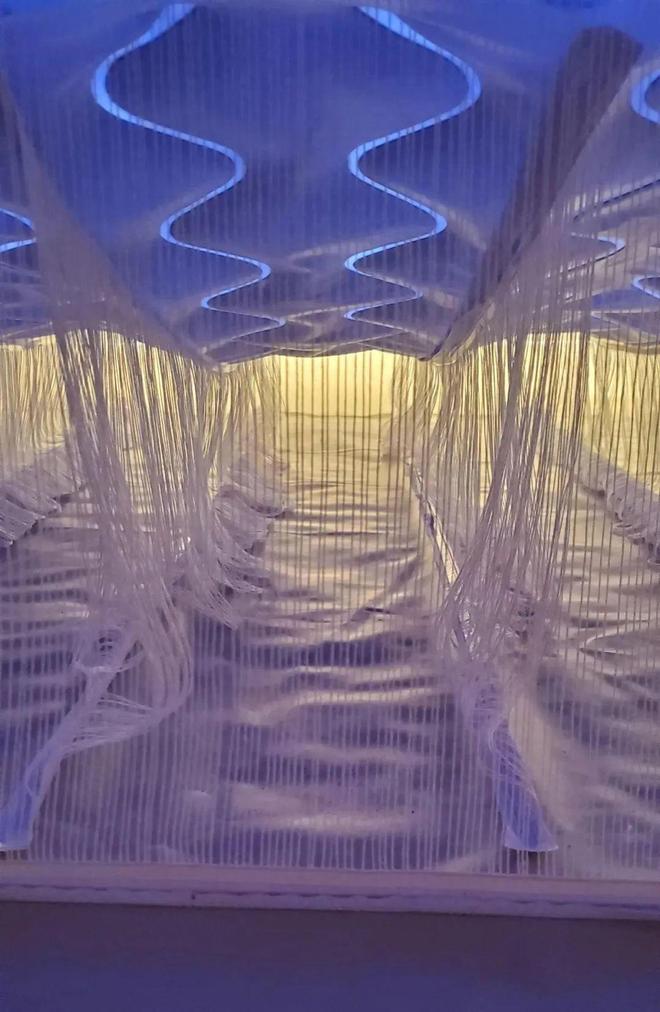 “活久见”的30张图换个角度看世界刷新认知了!(图18)