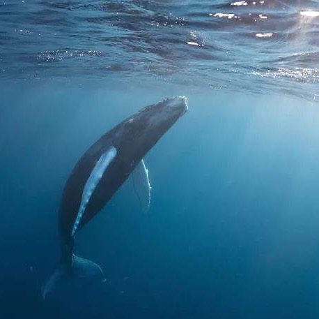 欧洲市场 _ 东方财富网