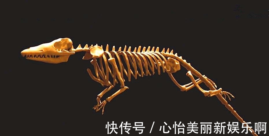 京骨穴的位置和作用