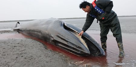 “实验6”号科考船圆满完成印度洋重大科学考察任务