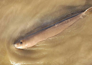 从旗舰店到方法论：MUJI如何用成都样本讲述品牌在地化