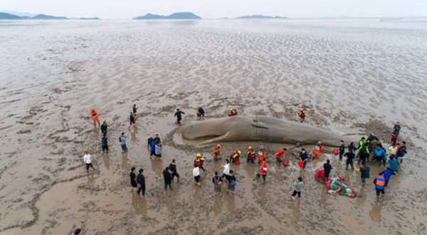 低成本教培加盟 适合三四线城市的AI自习室项目