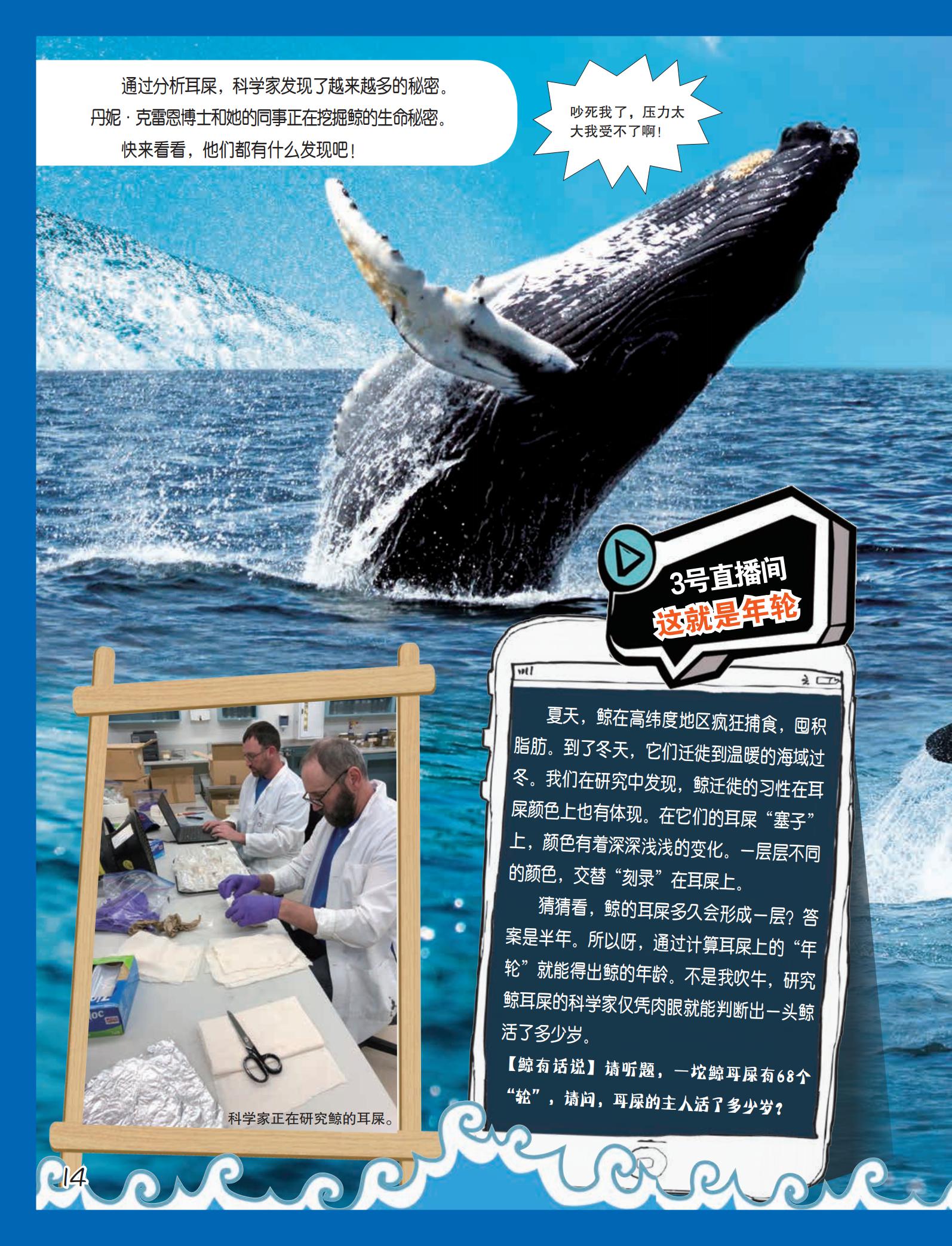 耳屎多的原因-有来医生