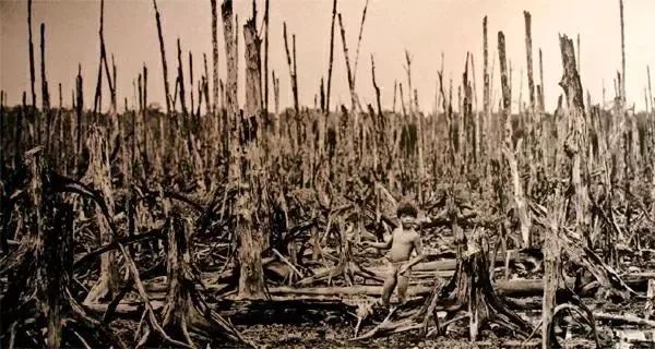 越南战争:一场从头到尾的骗局(图8)