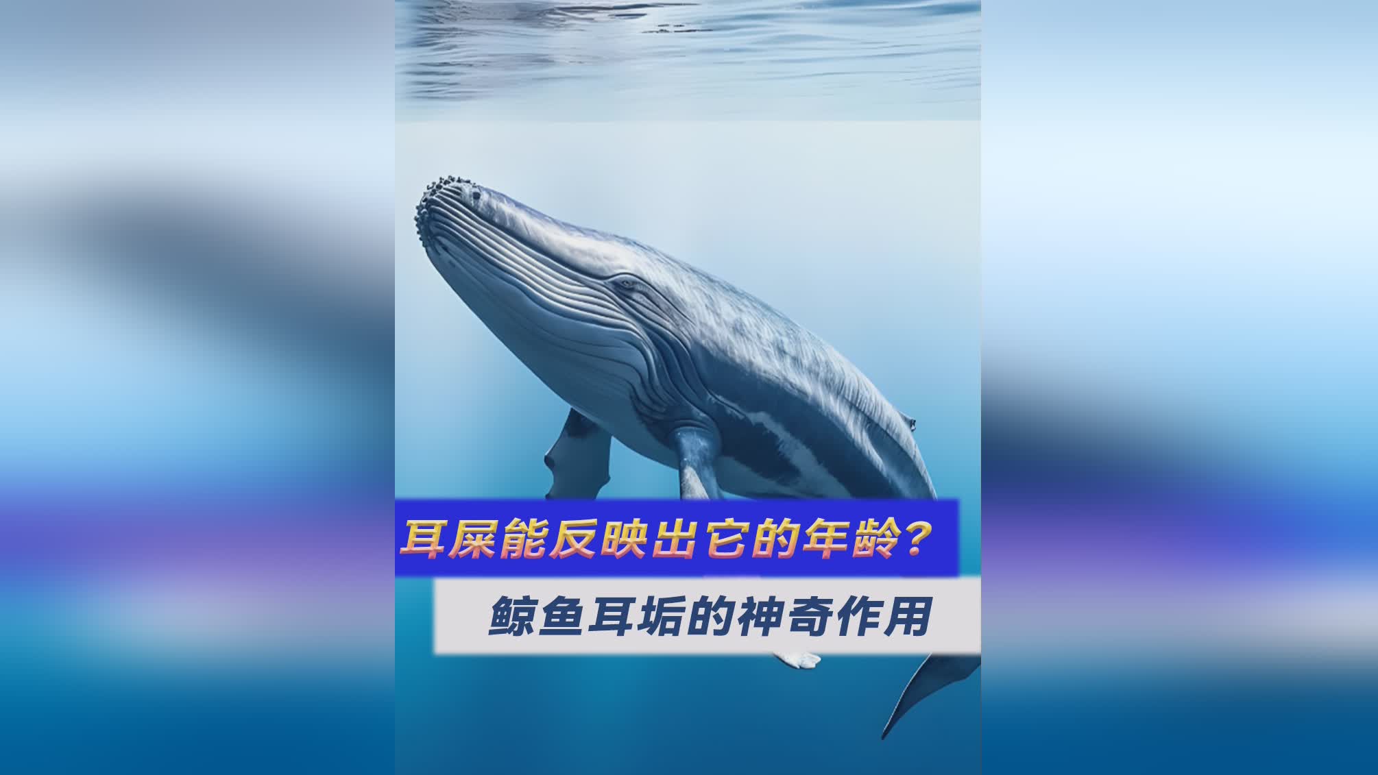 耳垢里的趣科学你知道吗？
