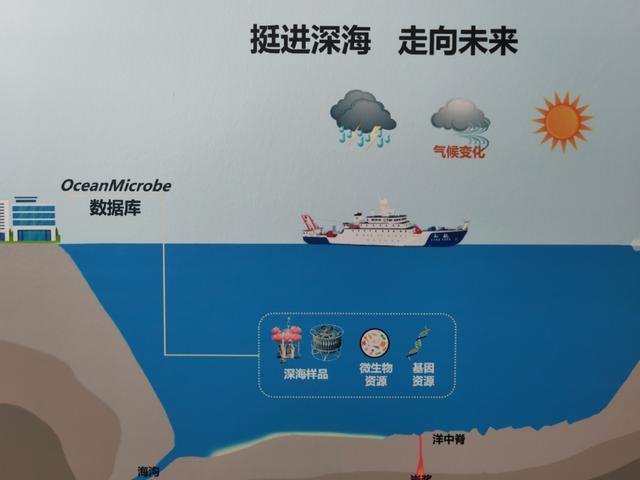 面朝大海又一全球总部落户上海在六大洲设立分中心
