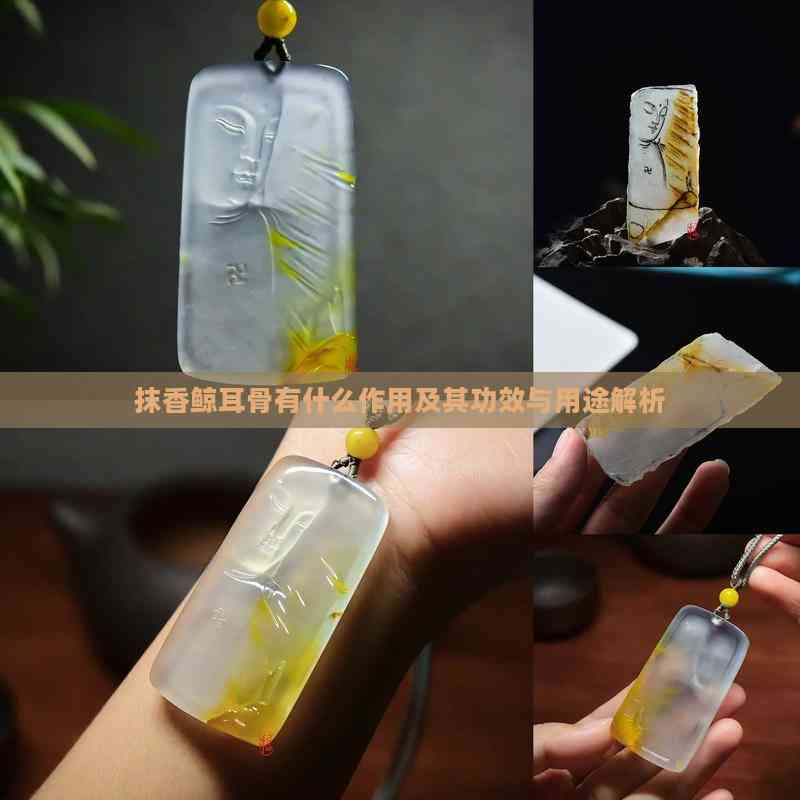 抹香鲸耳骨有什么作用及其功效与用途解析(图1)