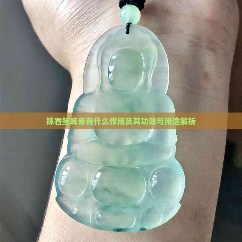 抹香鲸耳骨有什么作用及其功效与用途解析(图2)