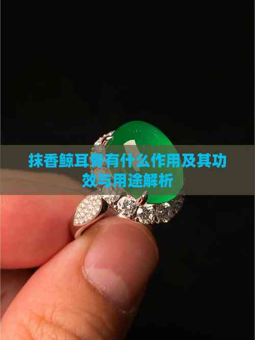 抹香鲸耳骨有什么作用及其功效与用途解析(图5)