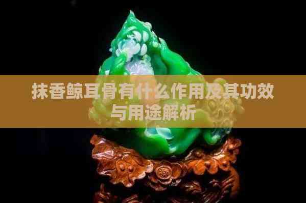 抹香鲸耳骨有什么作用及其功效与用途解析(图8)