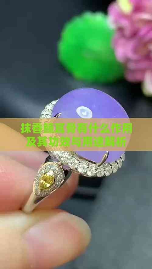 抹香鲸耳骨有什么作用及其功效与用途解析(图6)