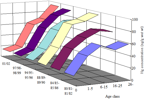 爱画画的孩子海底世界主题画(图1) 爱画画的孩子海底世界主题画