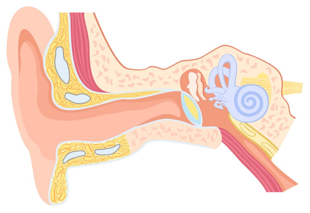 小小的耳耵聍竟然有可能造成严重的后果?(图1)