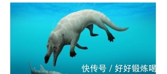 阿里AI大整合：围绕Token打一场新仗