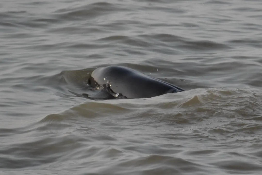 深挖GEO的商业灰度:广告、投毒与被“操控”的推荐(图1) 深挖GEO的商业灰度:广告、投毒与被“操控”的推荐
