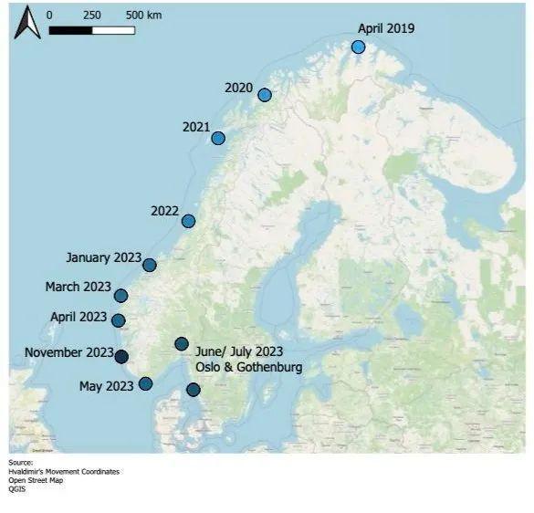 还记得那头能帮人捡手机的“间谍鲸”吗?它死了(图7)