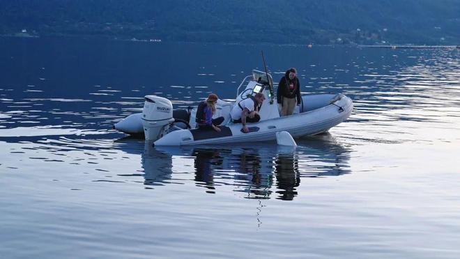 还记得那头能帮人捡手机的“间谍鲸”吗?它死了(图12)