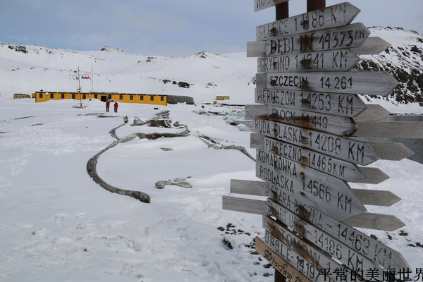 涠洲岛追鲸:人类的靠近背上的伤痕(图1) 涠洲岛追鲸:人类的靠近背上的伤痕