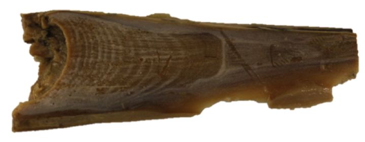 2024跨年热烈问答:张颜齐分享运动心得(图1) 2024跨年热烈问答:张颜齐分享运动心得