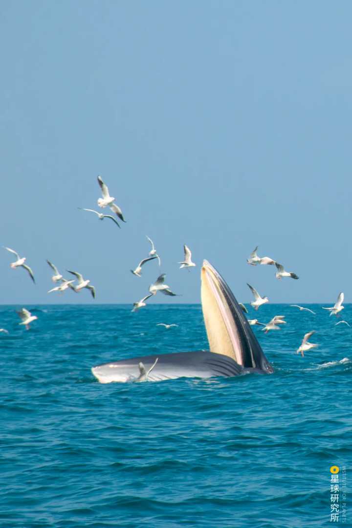 厂商动态_智能设备_运动_汽车_智慧出行频道_天极网
