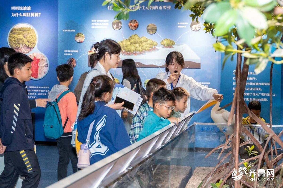 直观感受海洋大数据的硬核实力!中国科学院海洋研究所举办的这场活动科技魅力十足(图2)